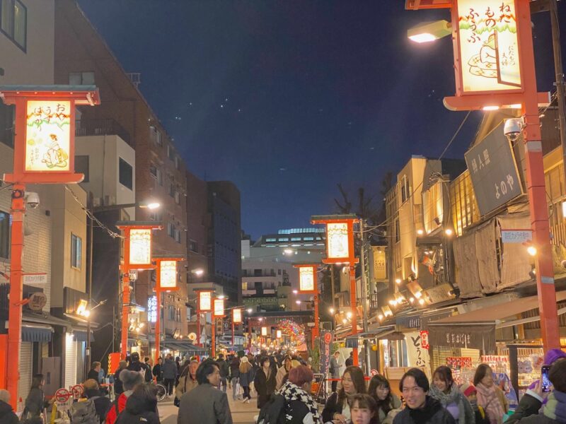 Tokyo, Japan. Image © PlanetSKI